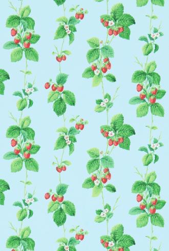 Summer Strawberries by Sanderson