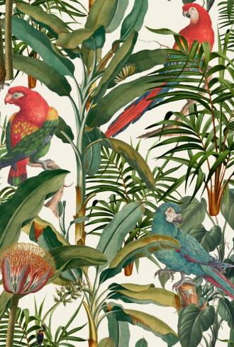 Parrots Of Brasil Wallpaper By Mind The Gap
