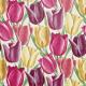 early-tulips-early tulips-s-dviwea103