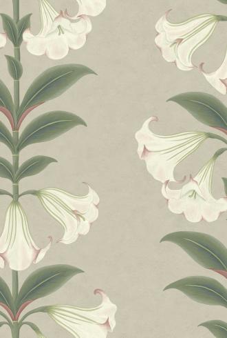 Angel's Trumpet by Cole & Son