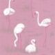 flamingos-iec-66-6043
