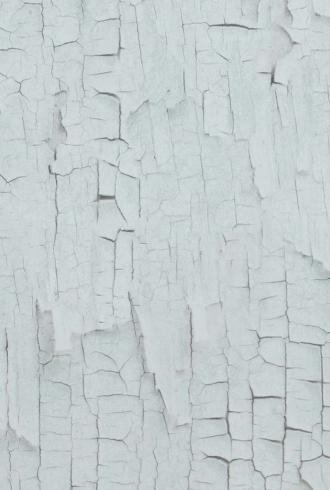 Essentials Birch By BN Wallcoverings