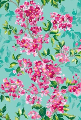 Sakura Wallpaper by Ohpopsi