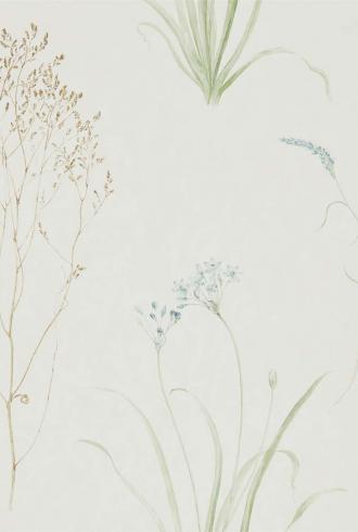 Farne Grasses by Sanderson
