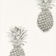 pineapple-royale-pineapple royale-s-dart216324