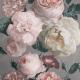 highgrove-floral-909302