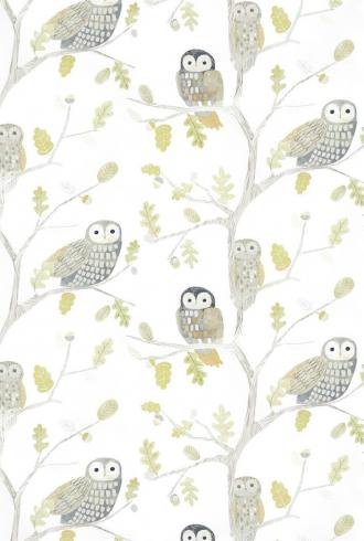 Little Owls By Harlequin