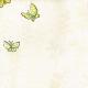 butterfly-meadow-ieol-w6061-04