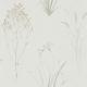 farne-grasses-farne grasses-s-debb216488