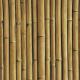 bamboo-buzz-iew-25-macadamia