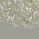 trailing-wisteria-icn50114m