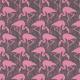 flamingos-sanderson-flamingos-s-dvin214567
