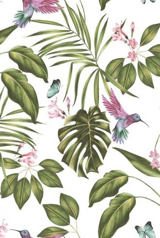 Hummingbird Wallpaper by Ohpopsi
