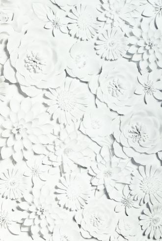 3D Flower Wall White by Arthouse