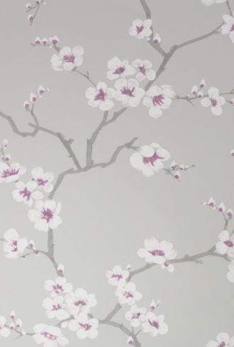 Apple Blossom by Fresco