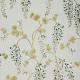 wisteria-floral-297303
