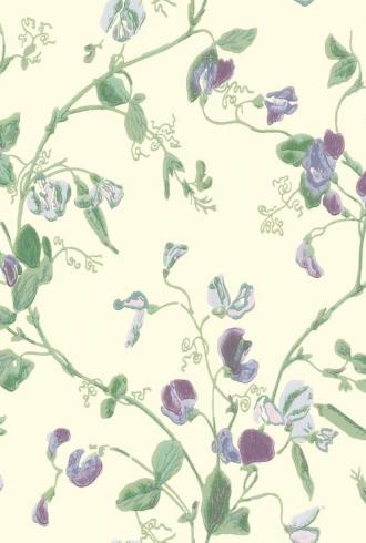 Sweet Pea 100-6030 by Cole and Son