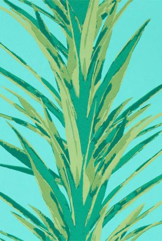 Yucca by Sanderson