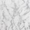 Carrara Marble-296701-Flatshot Swatch