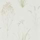farne-grasses-farne grasses-s-debb216486
