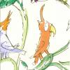 Cockatoos By Quentin Blake W6060-02