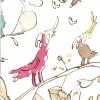 Cockatoos By Quentin Blake W6060-03