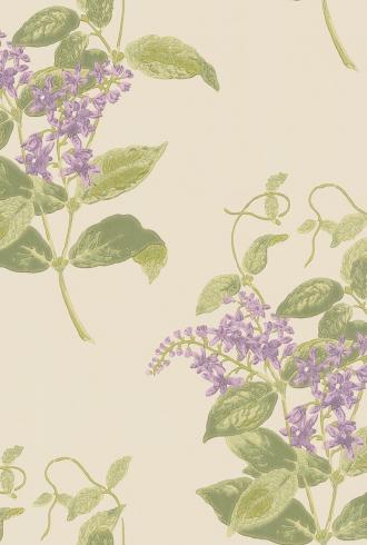 Madras Violet by Cole & Son