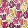 Early Tulips by Sanderson DVIWEA103
