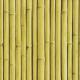 bamboo-buzz-iew-24-hay