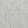 Essentials Birch By BN Wallcoverings 218021
