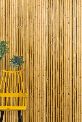 Bamboo Buzz By Wemyss