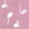 Flamingos  By Cole and Son 66-6043