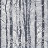 Frosted Wood Silver by Arthouse 670200