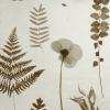 Herbarium by Clarke & Clarke W0091/02