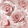 Madison Rose Glitter Wallpaper Raspberry and Blush Pink by Muriva