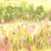 Meadow Wallpaper by Ohpopsi WND50122M
