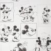 Mickey and Minnie Sketch by Kids at Home 102712
