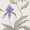 Orchid By Cole and Son 66-4024