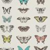 Papilio by Harlequin HAMA111077