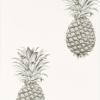 Pineapple Royale by Sanderson DART216324