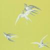 Swallows by Sanderson DVIWSW101