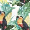 Toucan Jungle by Arthouse