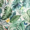 Tropical Rainforest by Arthouse