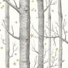 Woods And Stars Wallpaper By Cole and Son 103-11050