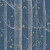 Woods And Stars Wallpaper By Cole and Son 103-11052