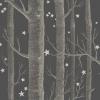 Woods And Stars Wallpaper By Cole and Son 103-11053